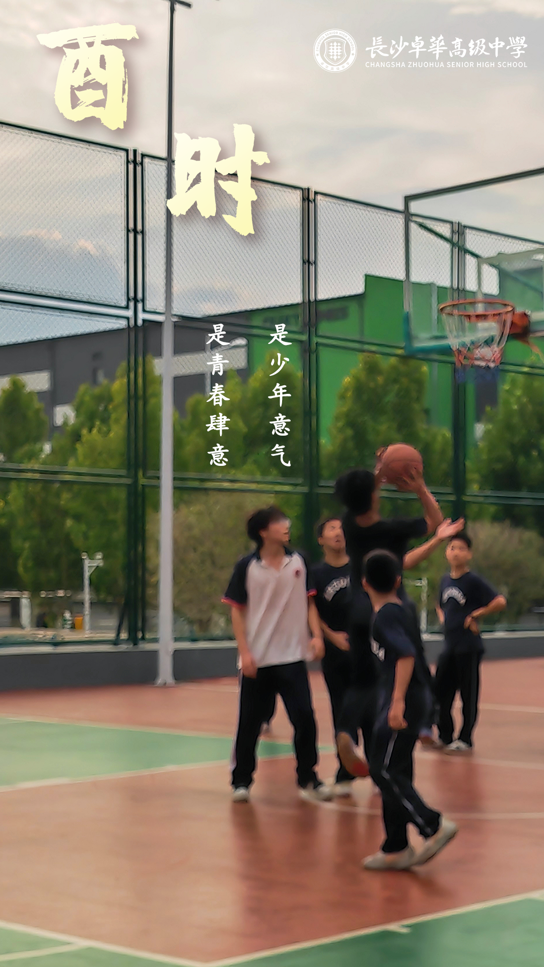 7.png 7.png